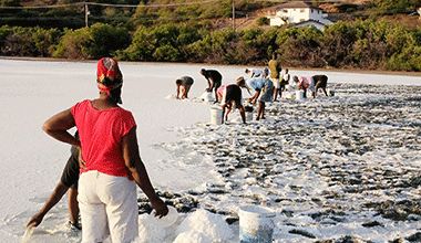 Salt picking begins on Union Island - Searchlight