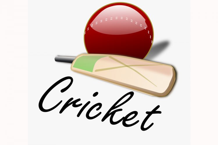 National cricket  programme  postponed indefinitely