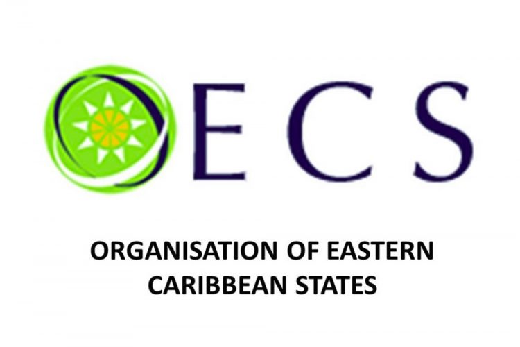 Twenty OECS startups to  participate in Eastern Caribbean Green Entrepreneurship Initiative