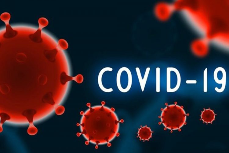 Twelve new Covid-19 cases, 104 recoveries recorded in SVG
