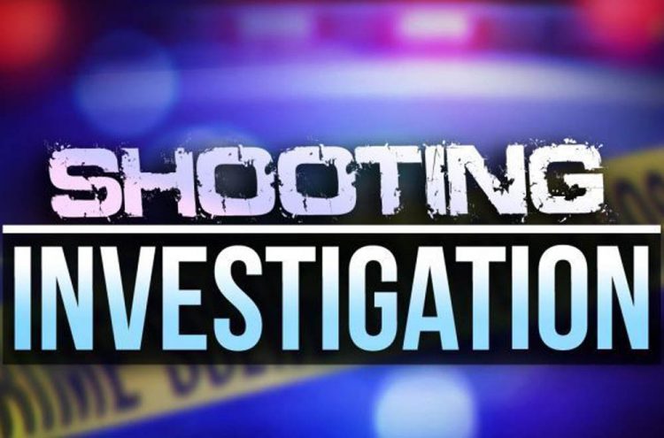 Police  investigating shooting  death of 60 year old Brighton  resident