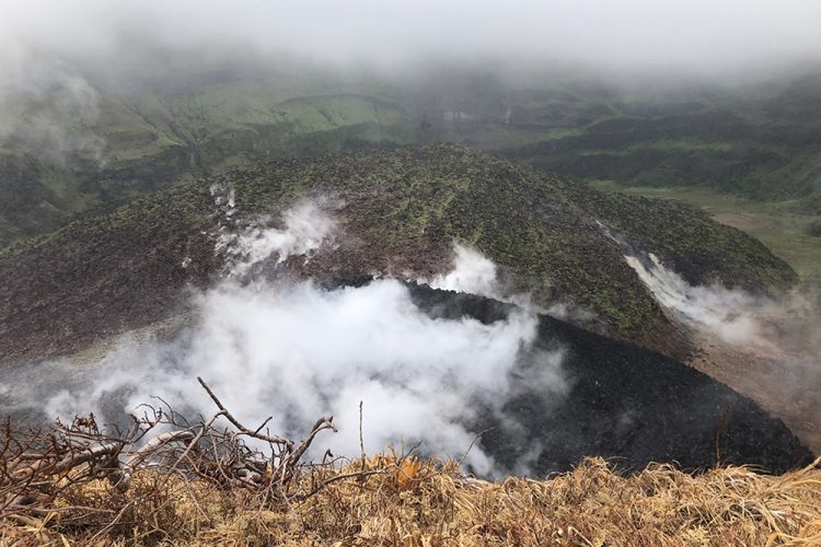 Vegetation being affected by the acid rain at La Soufriere volcano