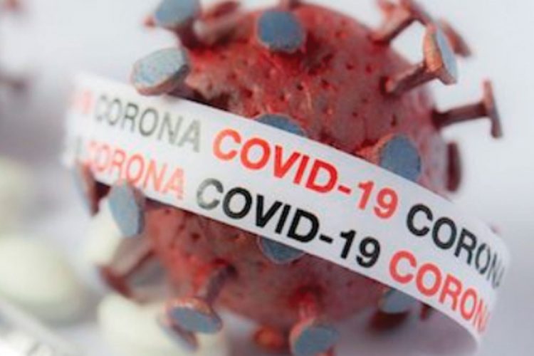 Seven new COVID-19  cases recorded
