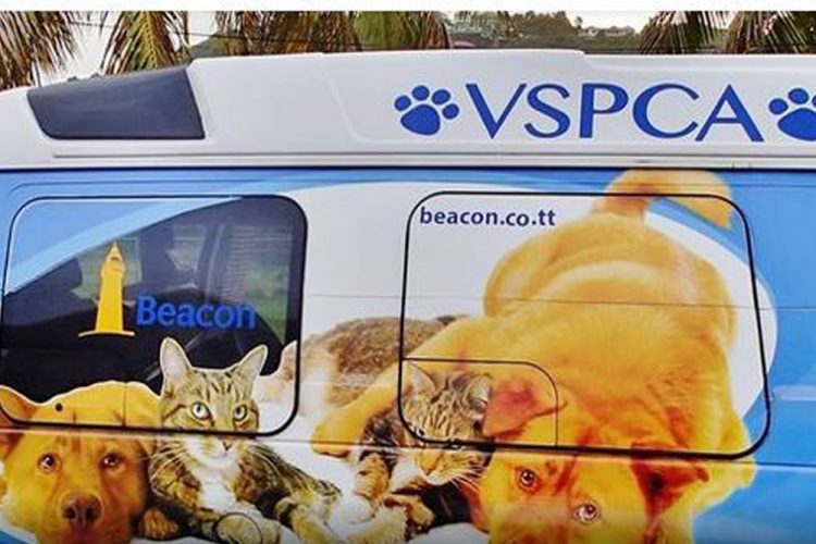 VSPCA issues full response to allegations
