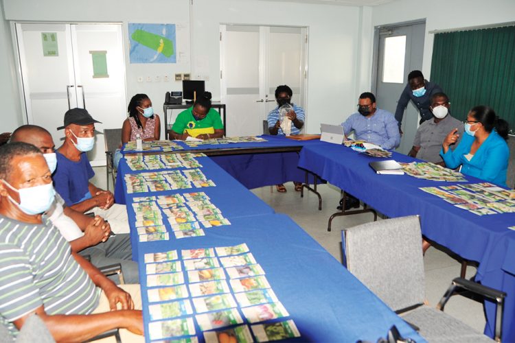 Canadian charity donates seeds to SVG farmers