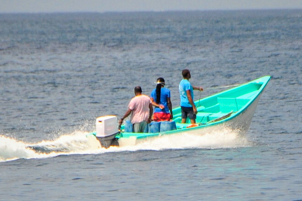Fisheries sector will make quantum leap in 2022: Agriculture Minister Fisheries sector will make quantum leap in 2022: Agriculture Minister