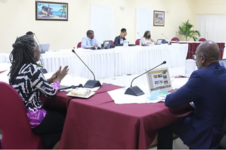 OECS Health Ministers discuss Health  System Strengthening and Laboratory  Advocacy during the COVID-19 Pandemic