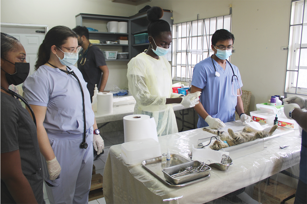 Medical students volunteer at VSPCA - Vimarsana News