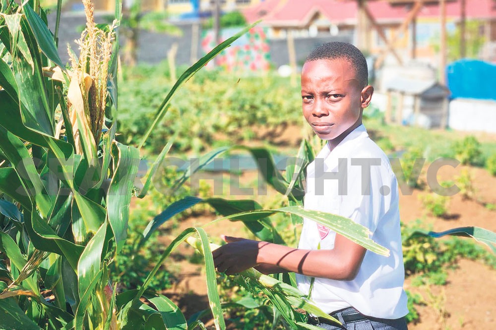 Agricultural Science Teacher At Bishop’s College Aims To Grow The Programme