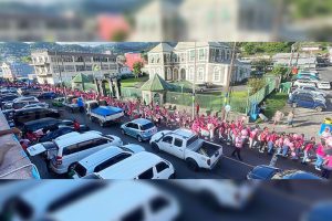 Hundreds come out to share ‘messages of hope’ at breast cancer walk