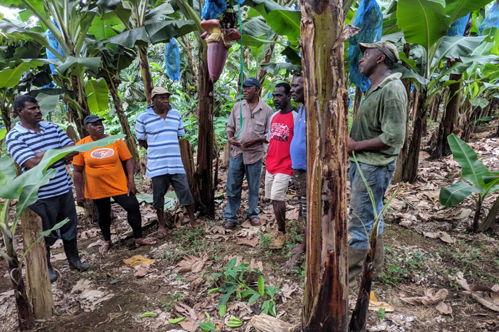 Winfa trains second crop of farmers Winfa trains second crop of farmers