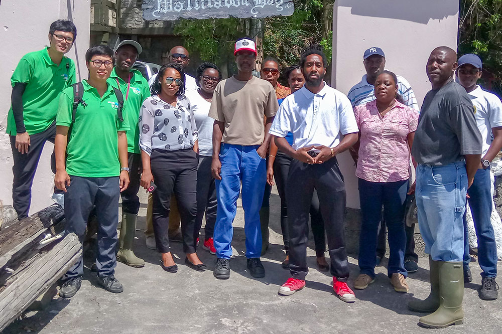 Comprehensive survey of soil across SVG completed Comprehensive survey of soil across SVG completed