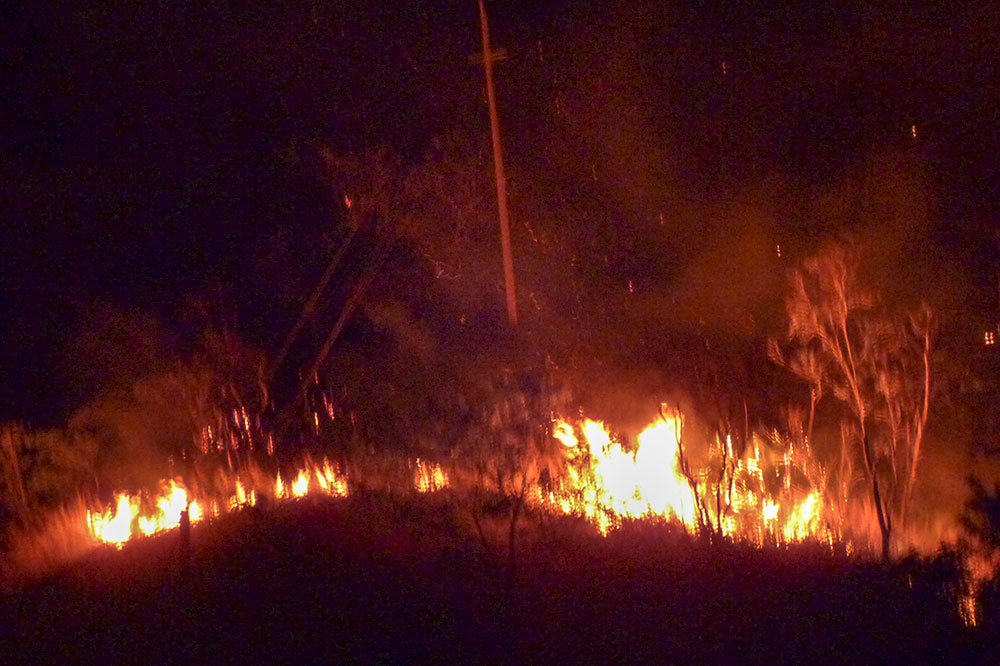 Fire department looking for bush fire culprits Fire department looking for bush fire culprits