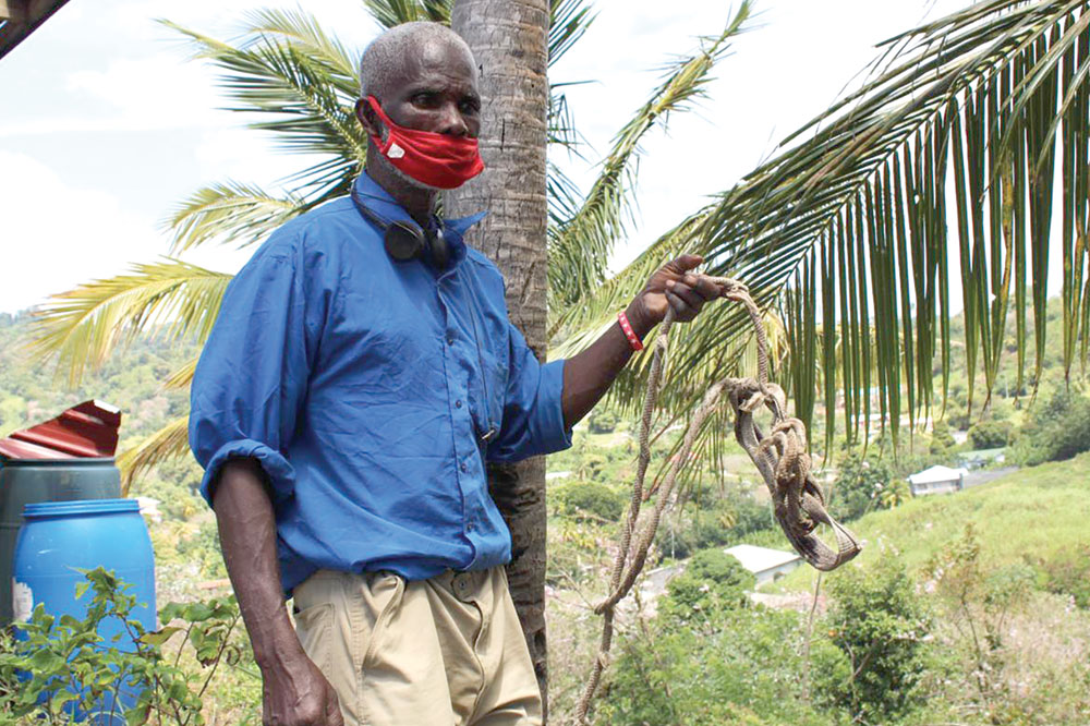 Cattle thieves leaving just ropes, manure for angry owners - Vimarsana News